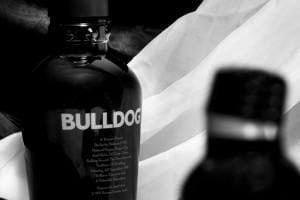 bulldog-gin